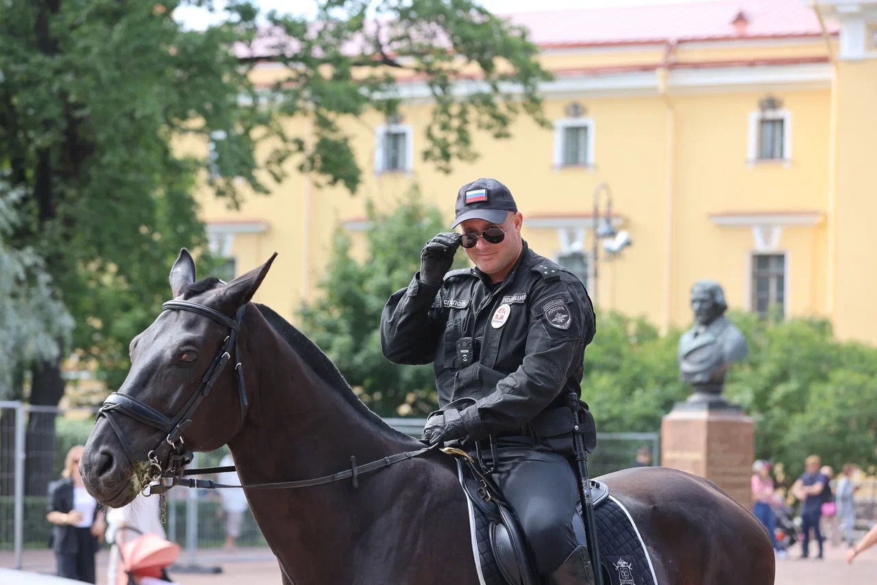 санкт петербург конюшня