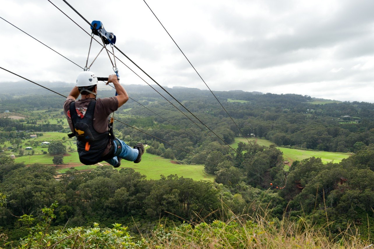 Zipline аттракцион