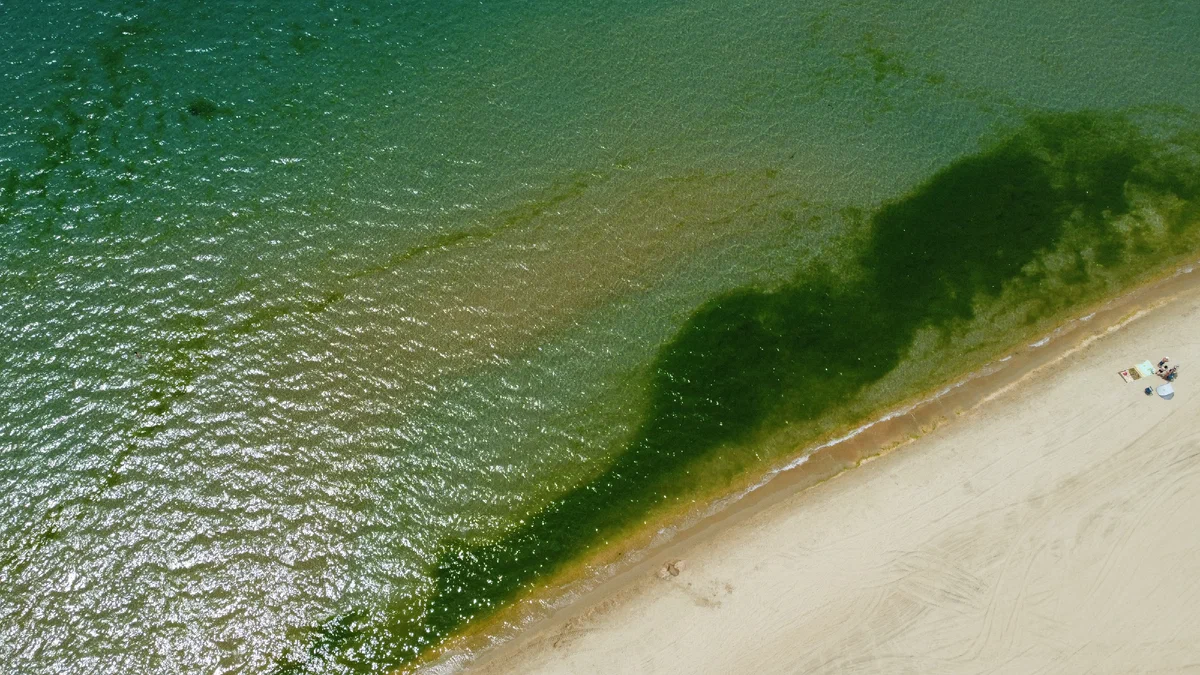 Анапа цветущее море 2024. Джемете море цветет. Джемете Анапа море цветет. Цветение моря Витязево Анапа. Витязево море цветет.