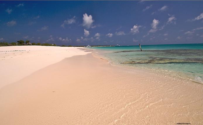 Розовый пляж Карибские острова дикий пляж