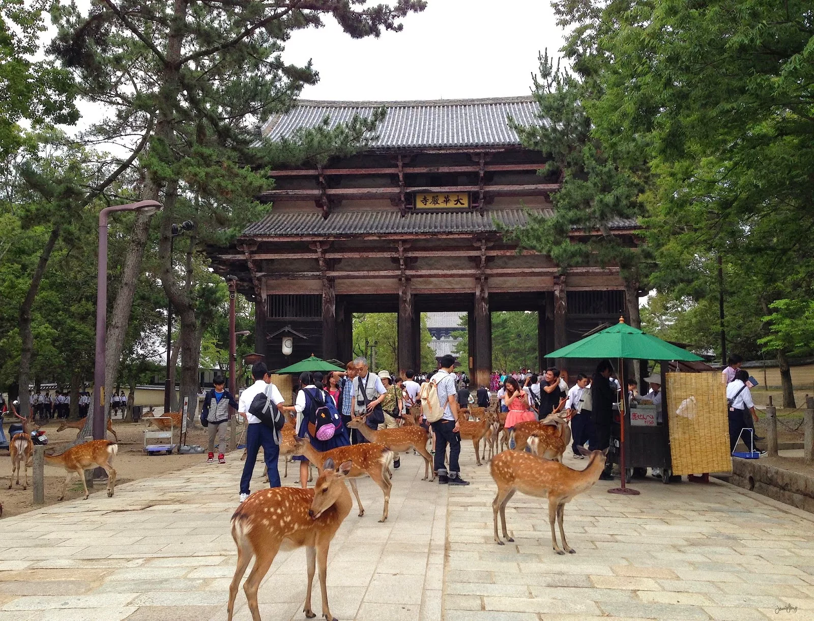 Парк Нара в Нара