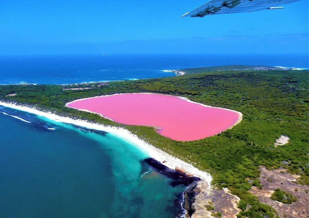Озеро розовое